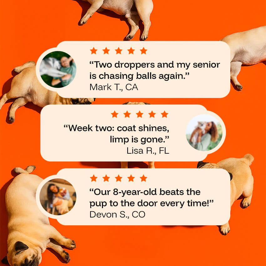 YouthfulPaw Liquid Drops