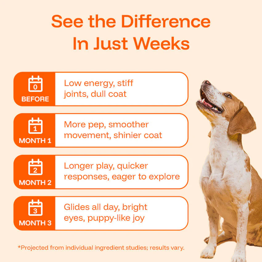 YouthfulPaw Liquid Drops