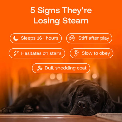 YouthfulPaw Liquid Drops